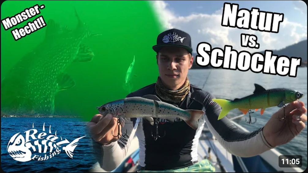 NATUR vs. SCHOCKER - Der Köderfarben Vergleich // MONSTER Hecht auf Lurecam!!