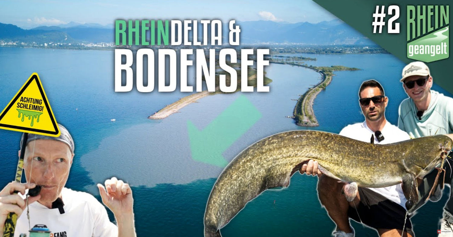 Vom Bergbach zum RIESENSEE! RHEINgeangelt