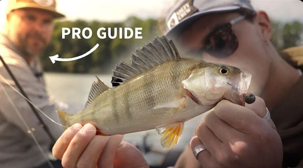 40+ Eglis im Kanton Fribourg?! Eglifischen mit Pro Guide