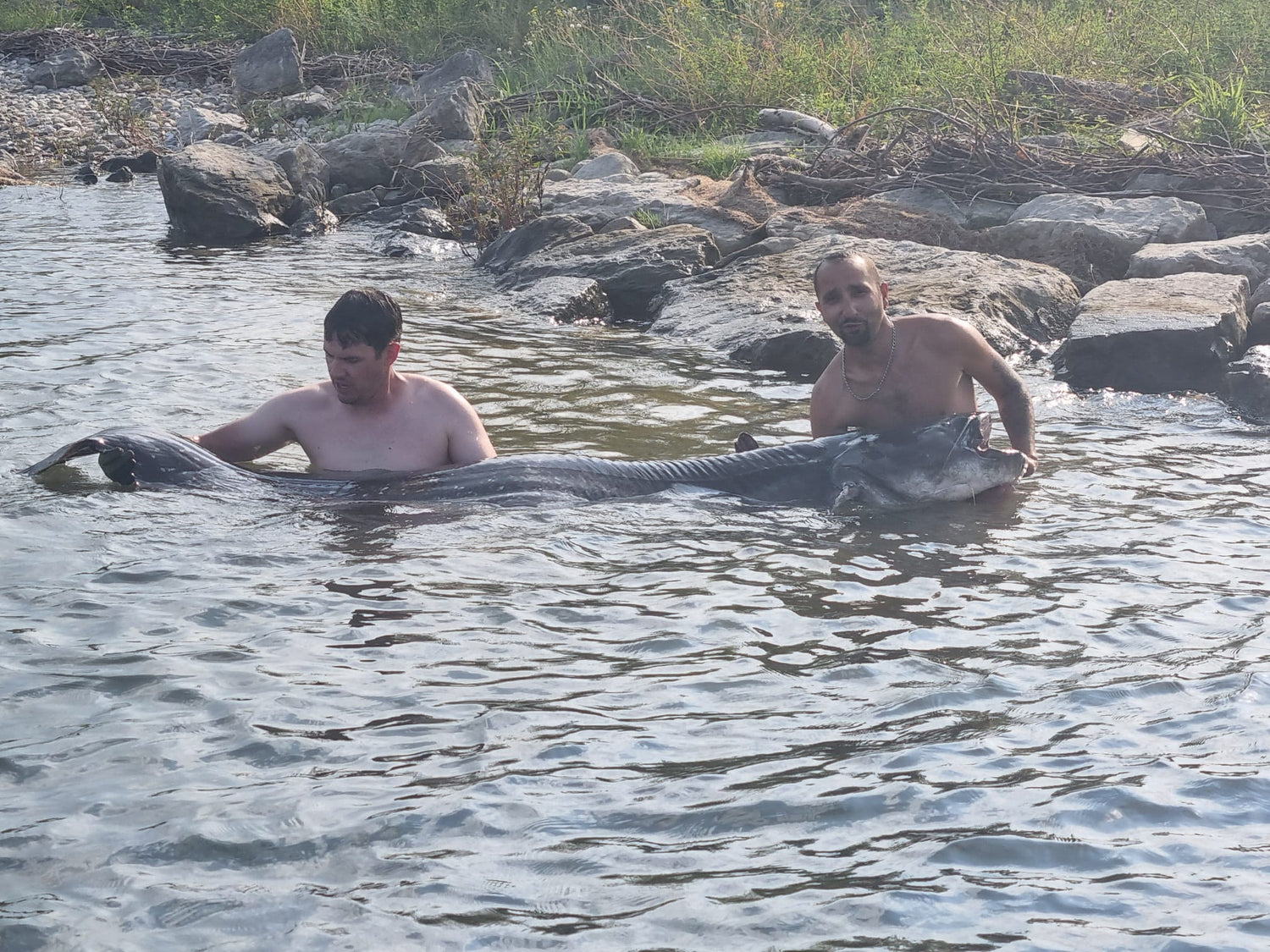 Geführte Angel-Guidings mit Sandro auf dem Bodensee