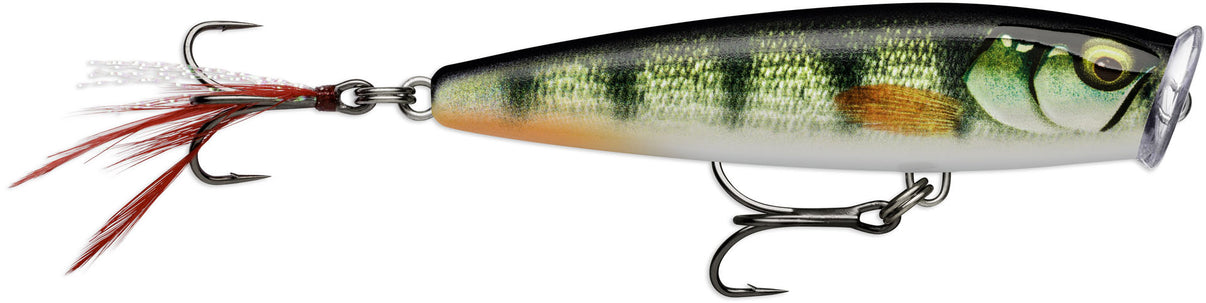 Skitter Pop Elite 7.5cm  Rapala Gilded Live Perch  