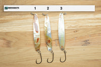 Gold Lip Premium Perlmutt-Spange 12cm  Perlmuttspangen.ch   