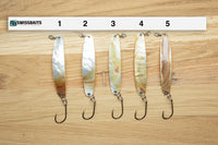 Gold Lip Premium Perlmutt-Spange 9cm  Perlmuttspangen.ch   