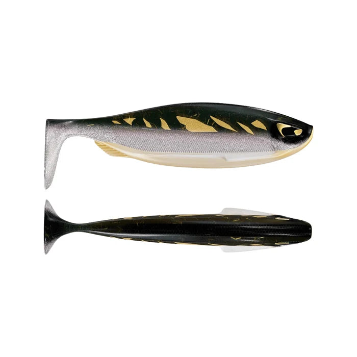 BANKS Jett Banks Electric Pike