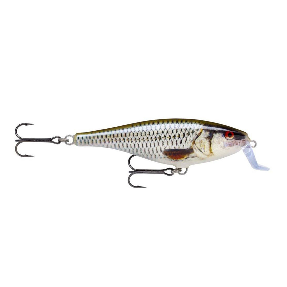 Rapala Super Shad Rap 14cm  Rapala Live Roach  