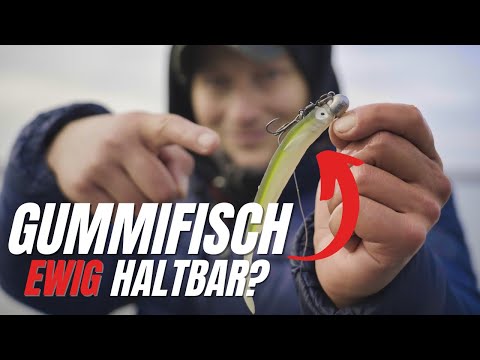 ZANDER Genickdrilling Zeck Fishing