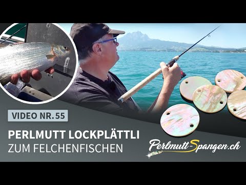 Perlmutt Lockplätti fürs Felchenfischen PerlTec